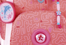 DerDieDas Coral Reef Super Flash Motiv Darstellung