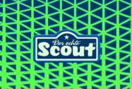 Scout Green Gecko Motiv Darstellung