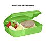 Alternativbild 1 zu Step by Step Brotdose Dino Targo Grn