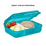 Alternativbild 1 zu Step by Step Brotdose Turtle Josie Trkis