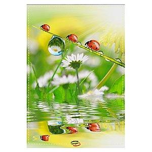 Geschenkgutschein zum Ausdrucken
