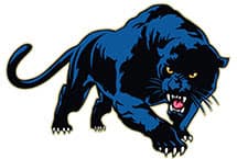 Schulranzen Panther - Raubtiere
