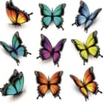 Schulranzen Schmetterling