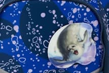 ergobag OzeanBärwohner