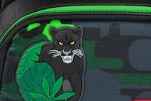 Step by Step Black Cat