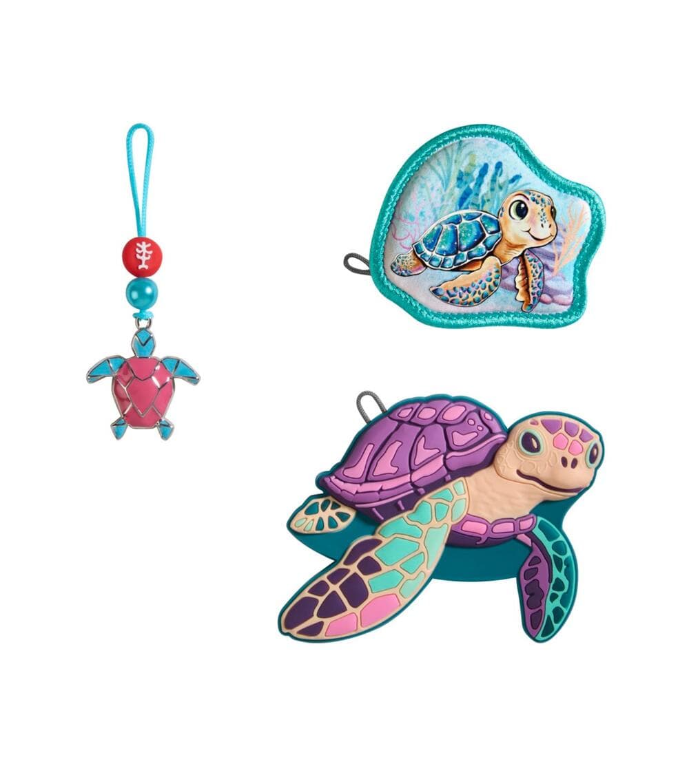 Step by Step Magic Mags Flash Turtle Shelly