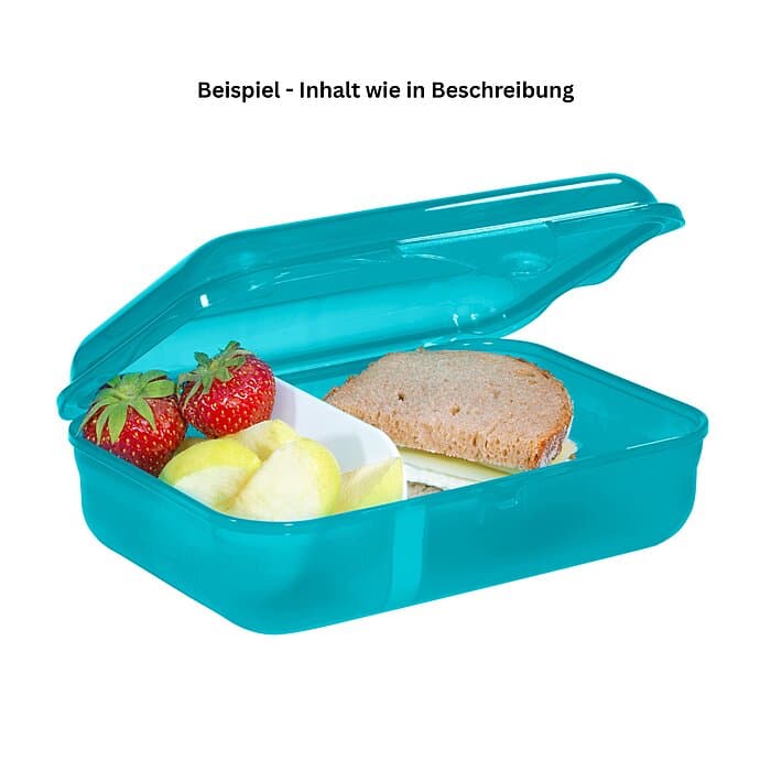 Step by Step Brotdose Turtle Josie Türkis