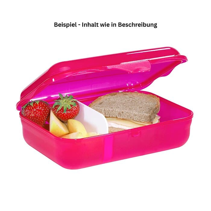 Step by Step Brotdose Wild Horse Nora Pink