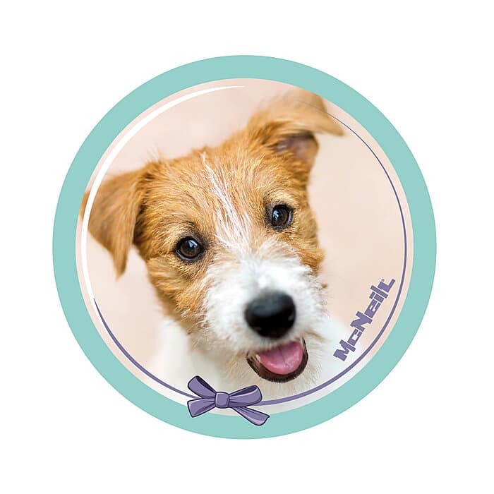 McNeill McAddys Haustiere Hund grün