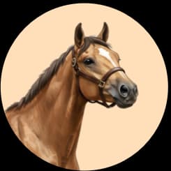 Icon, das ein Pferd zeigt